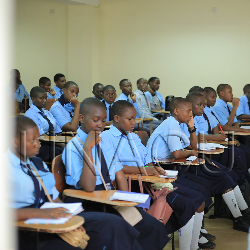 Build Confidence & Skills